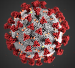 the cover-19 virus
